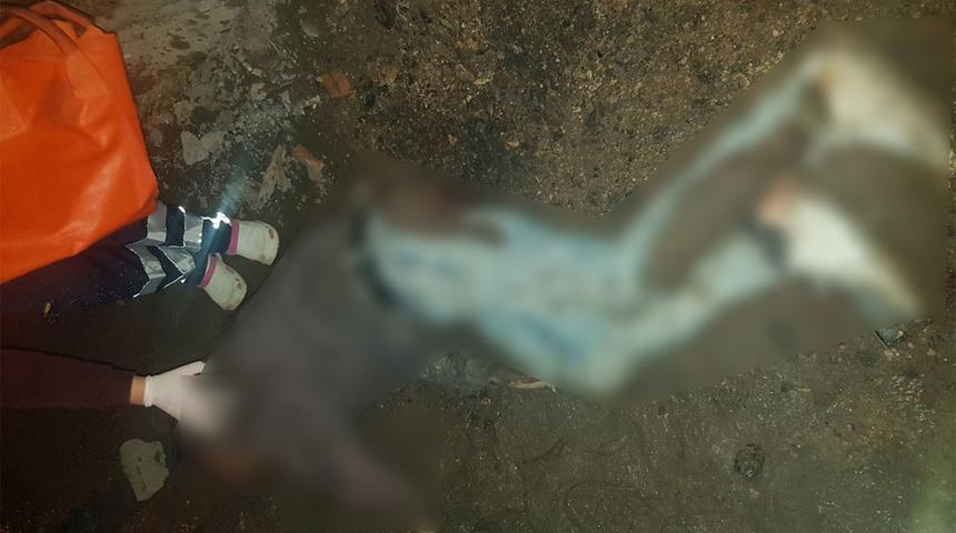 Çamurun içinde bu halde bulundu