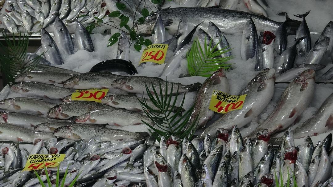 Denizi olmayan en iyisini yer  100 TL ye kadar düştü  Ankara dan alıyorlar  1