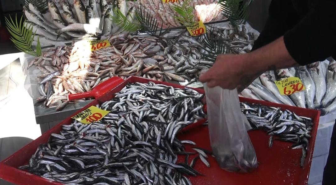 Denizi olmayan en iyisini yer  100 TL ye kadar düştü  Ankara dan alıyorlar  2