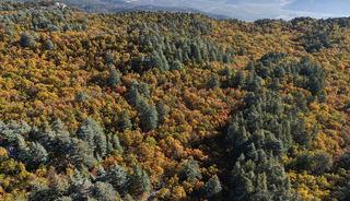 Bu ormana girmenin cezası: 557 bin 212 TL! 