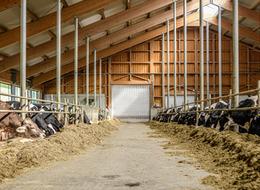 Ülke genelinde karantina uygulanmıştı! Bakanlık'tan açıklama 'Yüzde 92'si aşılandı' O paylaşımlara adli süreç başlıyor