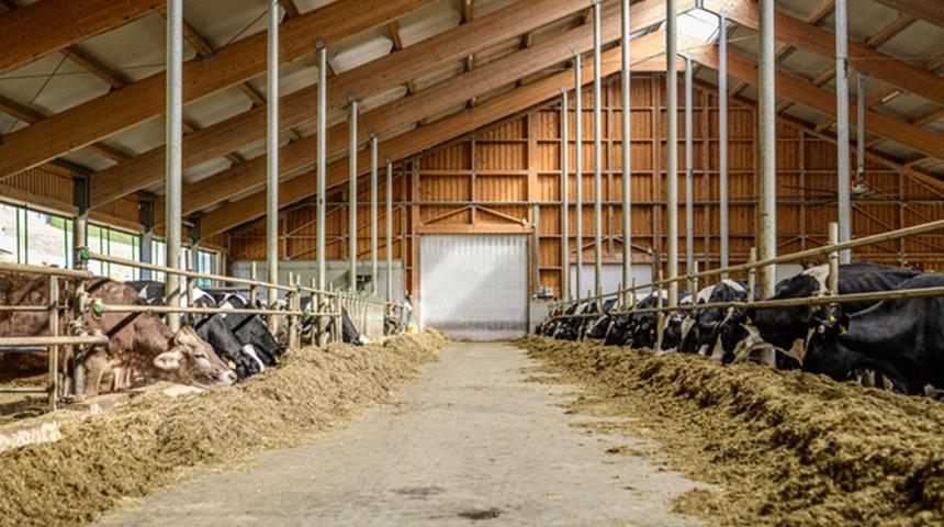 Ülke genelinde karantina uygulanmıştı! Bakanlık'tan açıklama 'Yüzde 92'si aşılandı' O paylaşımlara adli süreç başlıyor