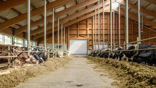 Ülke genelinde karantina uygulanmıştı! Bakanlık'tan açıklama 'Yüzde 92'si aşılandı' O paylaşımlara adli süreç başlıyor