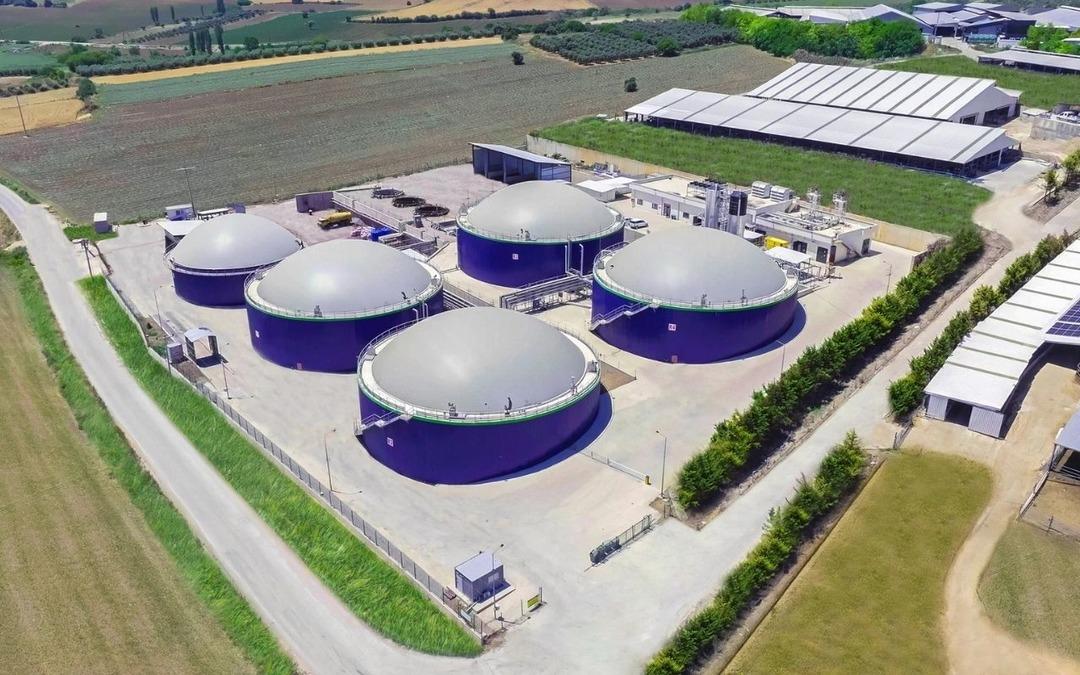 Yeni halka arz EcoGreen’de tavan serisi sürüyor mu? İşte ECOGR hisselerinde son durum! 1