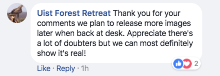 Dünya onu konuşuyor: Dev kartal tüyler ürpertiyor G2