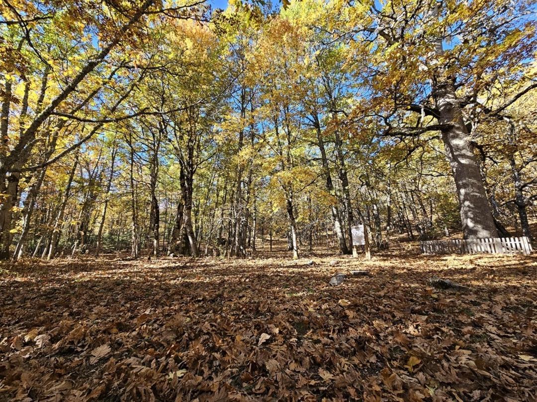 Dünyada tek! 12 ay giriş yasağı var, cezası 500 bin TL yi aşıyor: Özel izin almak zorunlu 6