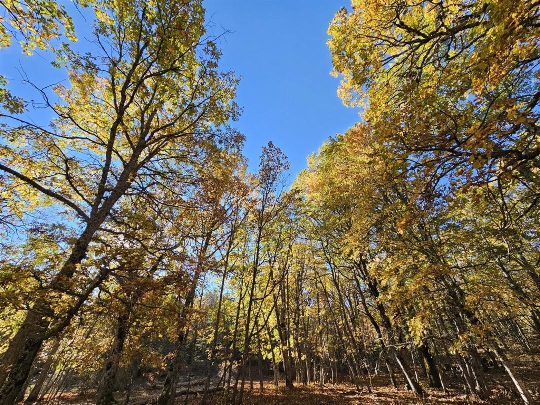 Dünyada tek! 12 ay giriş yasağı var, cezası 500 bin TL yi aşıyor: Özel izin almak zorunlu 7