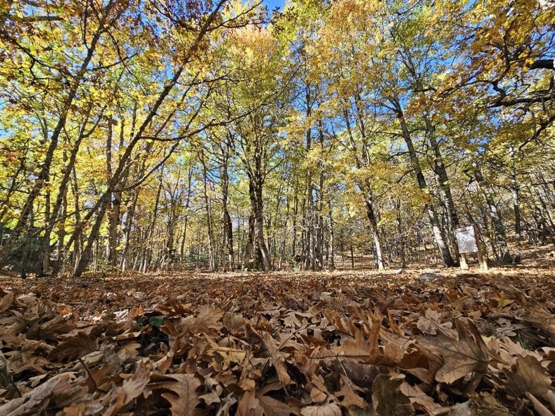 Dünyada tek! 12 ay giriş yasağı var, cezası 500 bin TL yi aşıyor: Özel izin almak zorunlu 8