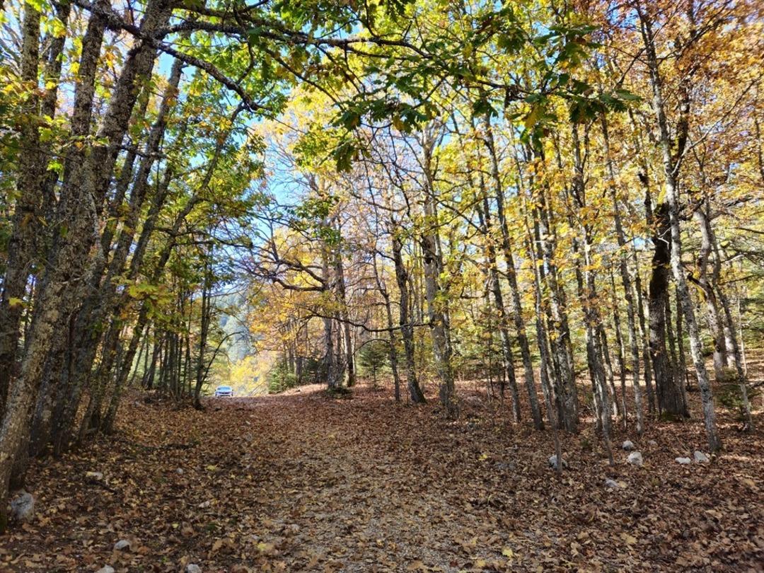 Dünyada tek! 12 ay giriş yasağı var, cezası 500 bin TL yi aşıyor: Özel izin almak zorunlu 1