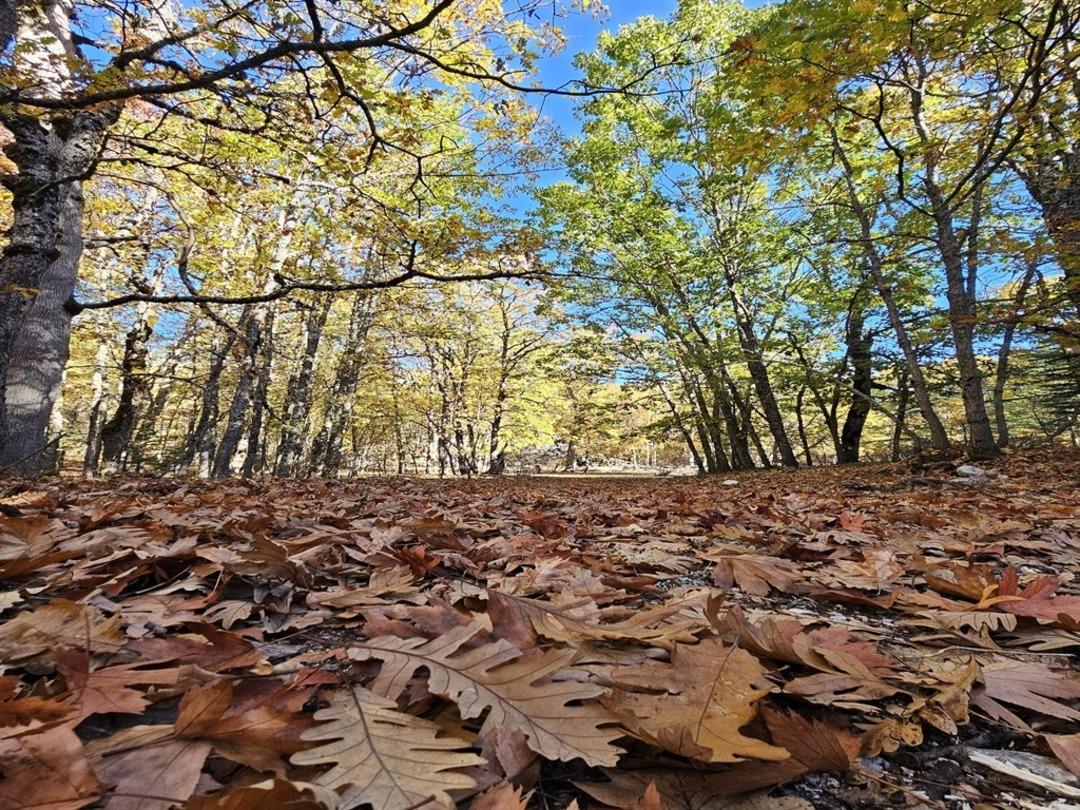 Dünyada tek! 12 ay giriş yasağı var, cezası 500 bin TL yi aşıyor: Özel izin almak zorunlu 2