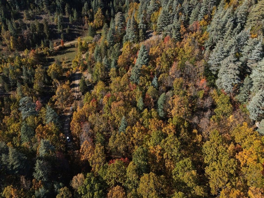 Dünyada tek! 12 ay giriş yasağı var, cezası 500 bin TL yi aşıyor: Özel izin almak zorunlu 3