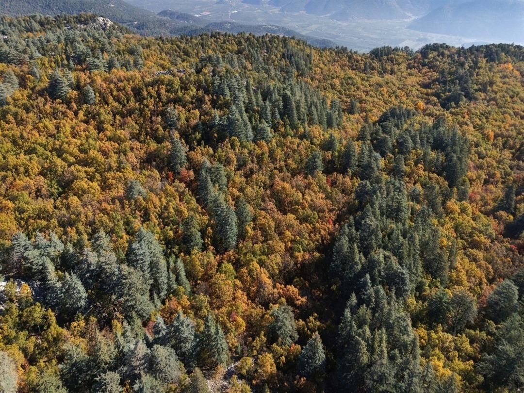 Dünyada tek! 12 ay giriş yasağı var, cezası 500 bin TL yi aşıyor: Özel izin almak zorunlu 4