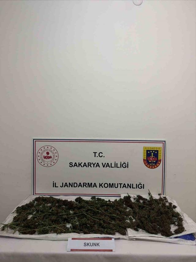 Sakarya’da uyuşturucu operasyonu: 1 tutuklama 1