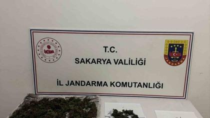 Sakarya’da uyuşturucu operasyonu: 1 tutuklama