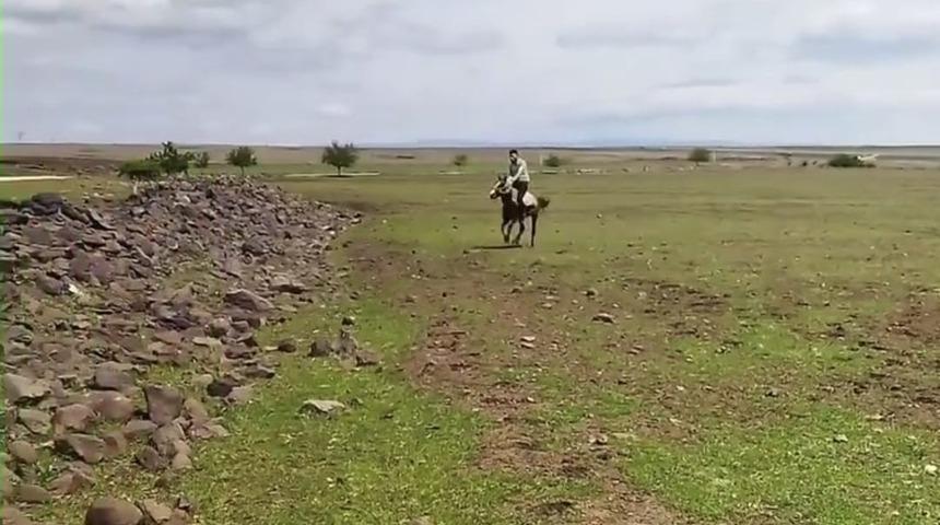 Siverek’te ilginç anlar kameraya yansıdı