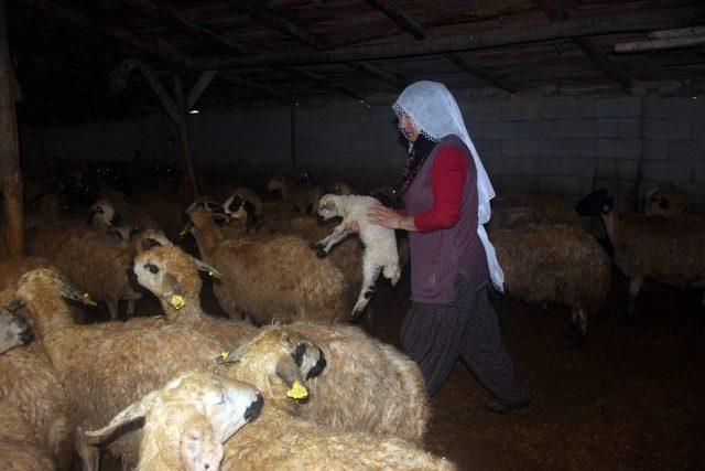 Kadın üreticilerin kadınlar gününden haberleri yok