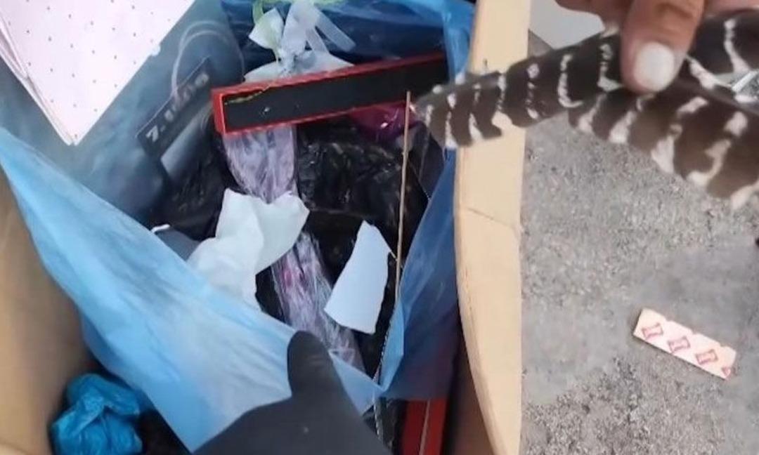 Tek tek karıştırıyorlar, çöpten servet çıkarıyorlar 3