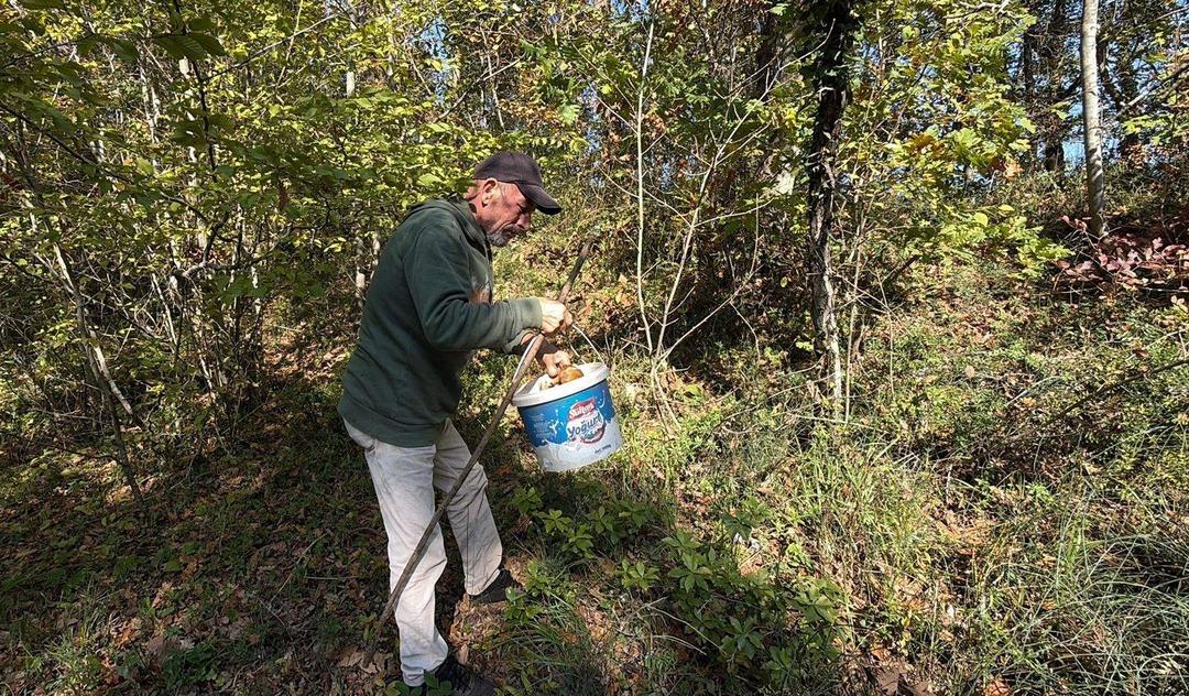  Saatlerce dolaşıp bulamıyorlar  500 TL oldu, gramla satılıyor  1 kiloyu bulan öpüp başına koyuyor  9