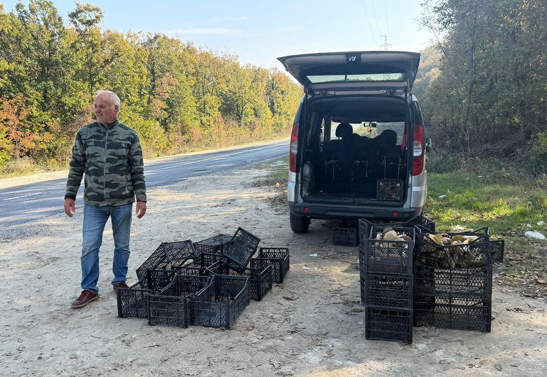 Kilosu 500 liraya yükseldi! Kuraklık mantarı vurdu: "Bu sene gramla satıyoruz" 7