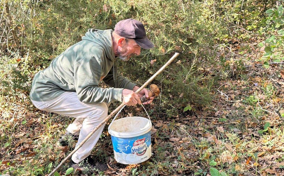  Saatlerce dolaşıp bulamıyorlar  500 TL oldu, gramla satılıyor  1 kiloyu bulan öpüp başına koyuyor  5