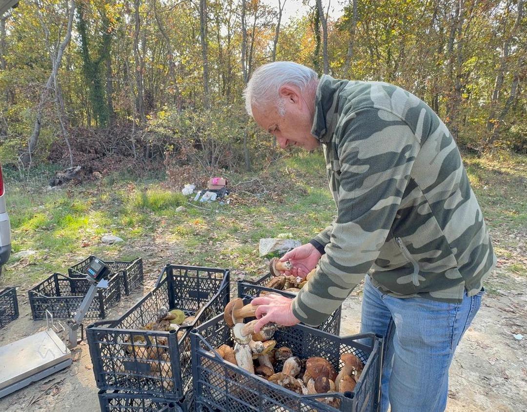  Saatlerce dolaşıp bulamıyorlar  500 TL oldu, gramla satılıyor  1 kiloyu bulan öpüp başına koyuyor  2