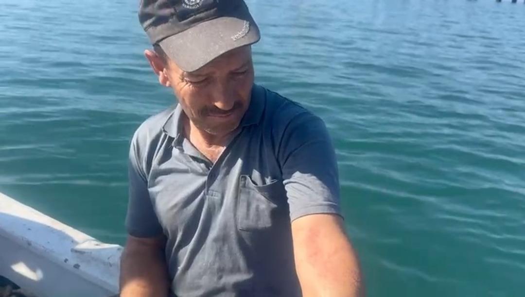 Hem yanık hem tahriş... O şehir tehlikede! Zehir sa&ccedil;ıyor: "Temastan kesinlikle ka&ccedil;ının" 4