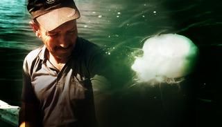 Zehir saçıyor: "Temastan kesinlikle kaçının"