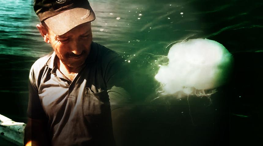 Hem yanık hem tahriş... O şehir tehlikede! Zehir sa&ccedil;ıyor: "Temastan kesinlikle ka&ccedil;ının"