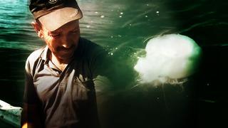 Hem yanık hem tahriş... O şehir tehlikede! Zehir saçıyor: Temastan kesinlikle kaçının