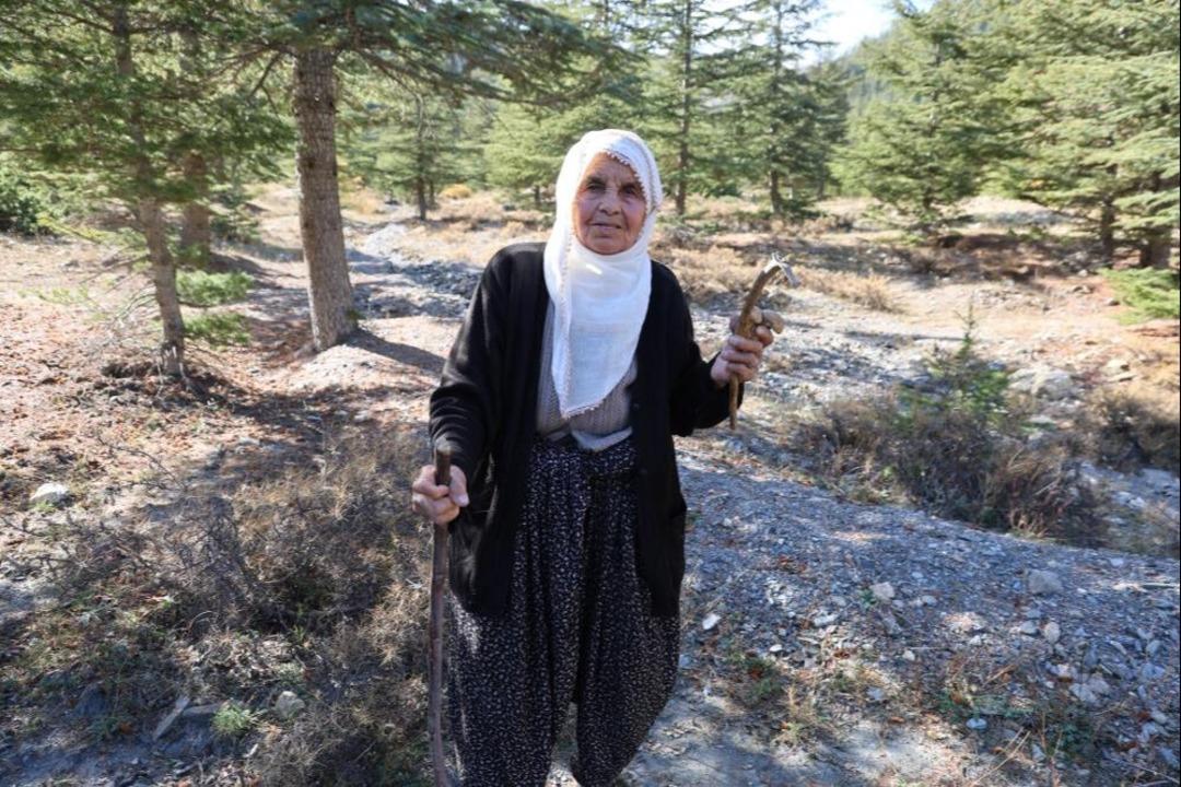 Japonya ve Çin e dondurarak gönderiyorlar! Günde 200 kilo topluyorlar! Küçücük ilçeye her yıl milyonlar giriyor... 3