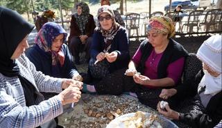 Kadınlar topluyor, küçücük ilçeye her yıl milyonlar giriyor...