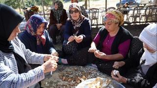 Japonya ve Çin'e dondurarak gönderiyorlar! Günde 200 kilo topluyorlar! Küçücük ilçeye her yıl milyonlar giriyor...