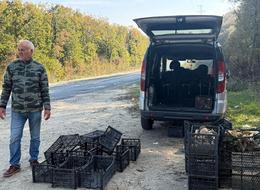 'Saatlerce dolaşıp bulamıyorlar' 500 TL, gramla satılıyor '1 kiloyu bulan öpüp başına koyuyor'