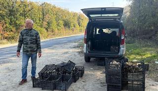 'Saatlerce dolaşıp bulamıyorlar' 500 TL oldu, gramla satılıyor '1 kiloyu bulan öpüp başına koyuyor'