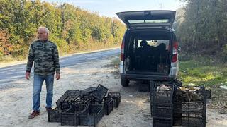 'Saatlerce dolaşıp bulamıyorlar' 500 TL, gramla satılıyor '1 kiloyu bulan öpüp başına koyuyor'