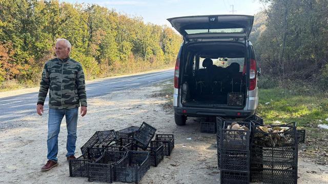 'Saatlerce dolaşıp bulamıyorlar' 500 TL, gramla satılıyor '1 kiloyu bulan öpüp başına koyuyor'