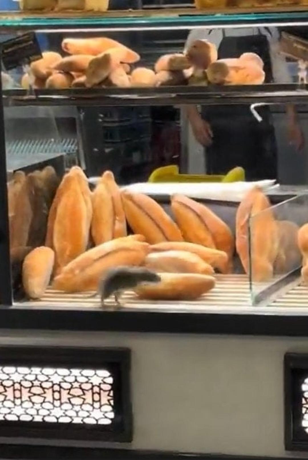 Fırında çekilen görüntü mide bulandırdı! Sahibi müşteriye 420 bin lira teklif etti 1