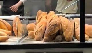 Fırında çekilen görüntü mide bulandırdı! 