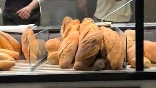 Fırında çekilen görüntü mide bulandırdı! Sahibi müşteriye 420 bin lira teklif etti