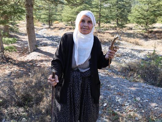 Japonların gözdesi! Fiyatı 1000 TL 'Eskiden değeri bilinmezdi, topluyorum satıyorum'