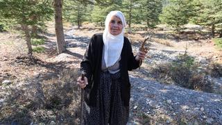 Japonların gözdesi! Fiyatı 1000 TL 'Eskiden değeri bilinmezdi, topluyorum satıyorum'