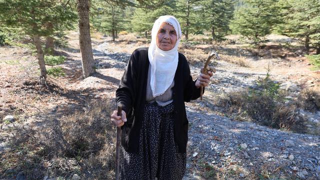 Japonların gözdesi! Fiyatı 1000 TL 'Eskiden değeri bilinmezdi, topluyorum satıyorum'