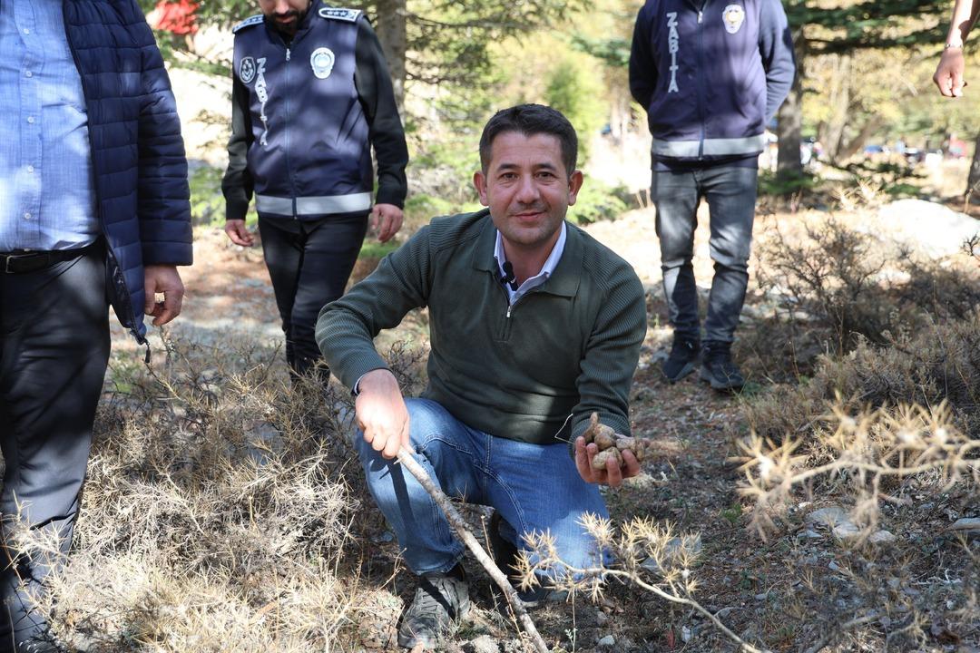 Japonların gözdesi! Fiyatı 1000 TL Eskiden değeri bilinmezdi, topluyorum satıyorum 2