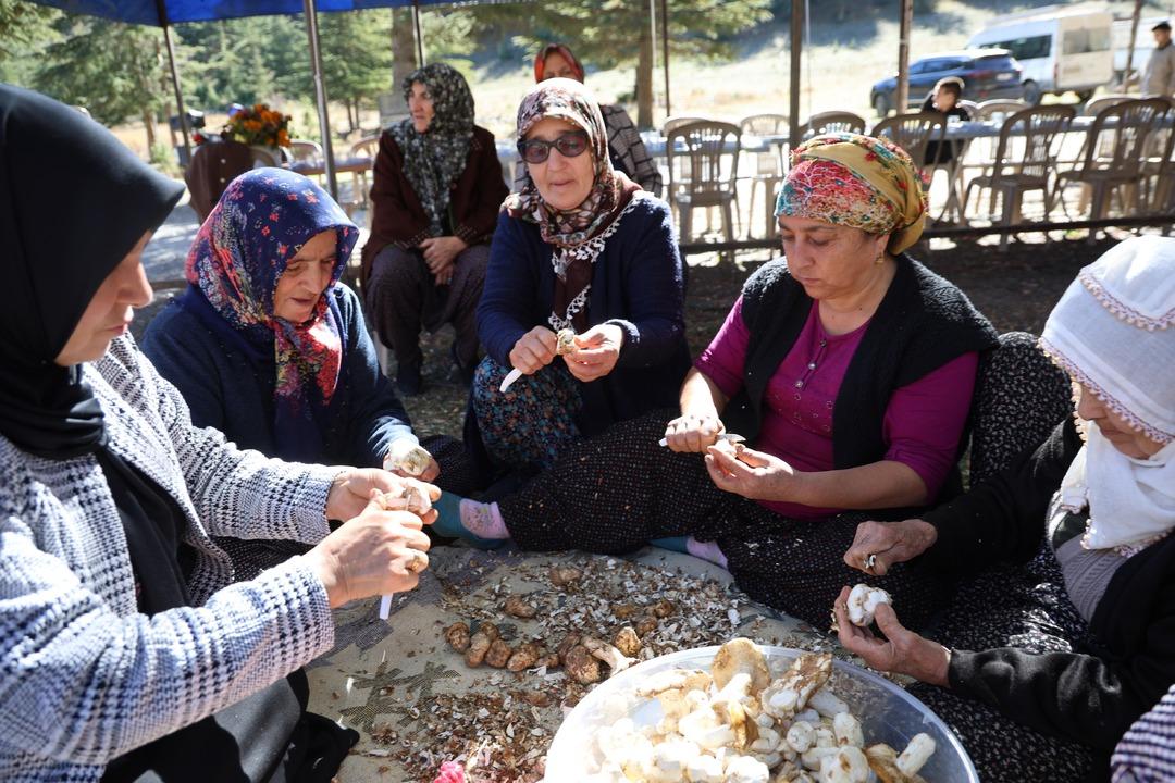 Japonların gözdesi! Fiyatı 1000 TL Eskiden değeri bilinmezdi, topluyorum satıyorum 3