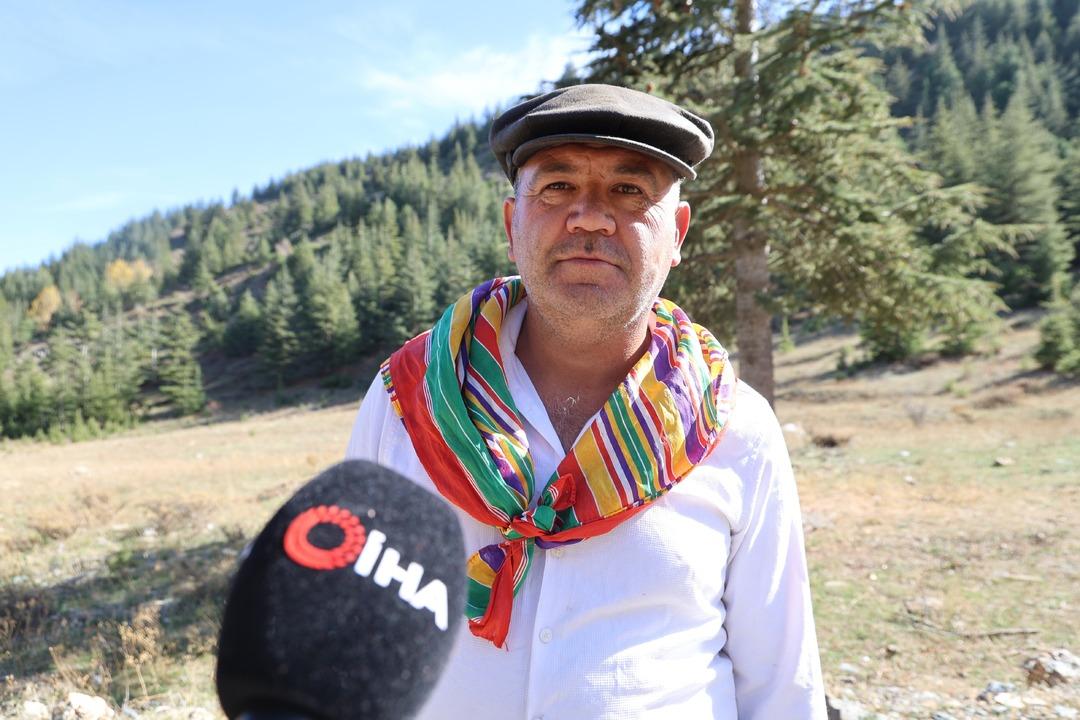 Japonların gözdesi! Fiyatı 1000 TL Eskiden değeri bilinmezdi, topluyorum satıyorum 4