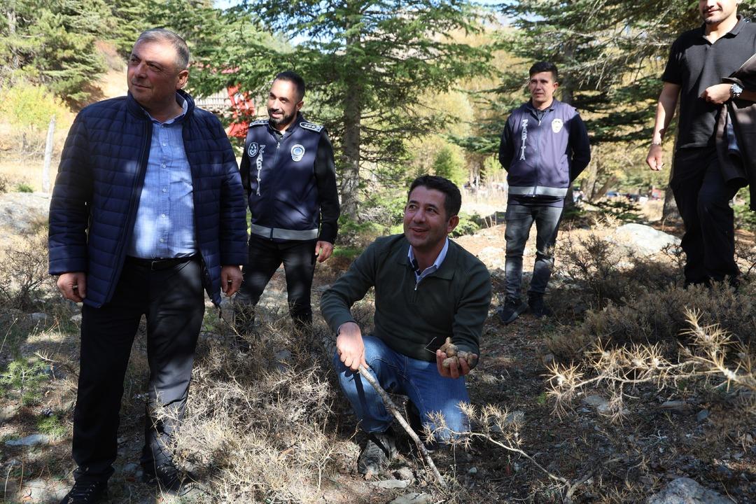 Japonların gözdesi! Fiyatı 1000 TL Eskiden değeri bilinmezdi, topluyorum satıyorum 5