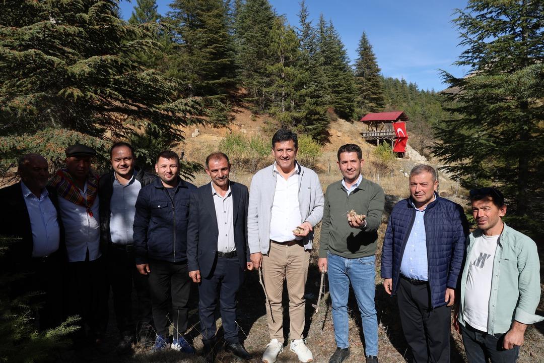 Japonların gözdesi! Fiyatı 1000 TL Eskiden değeri bilinmezdi, topluyorum satıyorum 6