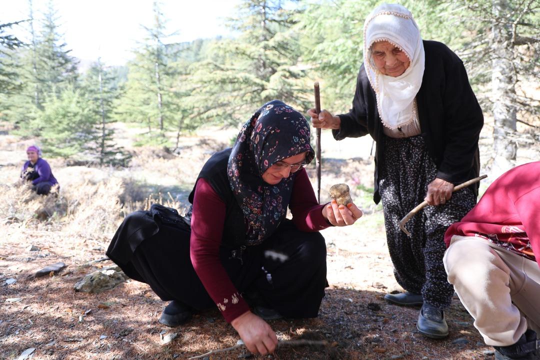 Japonların gözdesi! Fiyatı 1000 TL Eskiden değeri bilinmezdi, topluyorum satıyorum 8
