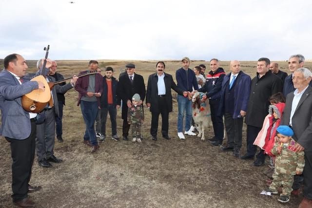 Arpaçay’da koç katımı 2