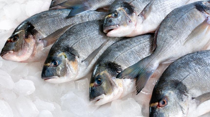 Bu balık türlerine dikkat! Hangi balık türlerini yememeliyiz?